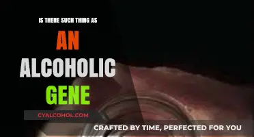 The Alcoholic Gene Debate: Unraveling the Genetics of Addiction