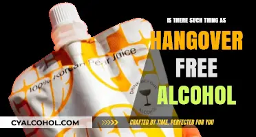 Can You Drink Without the Pain? Exploring Hangover-Free Alcohol Options