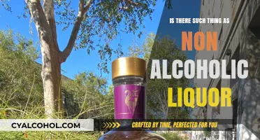 Exploring Non-Alcoholic Liquor: Myth or Real Beverage Alternative?