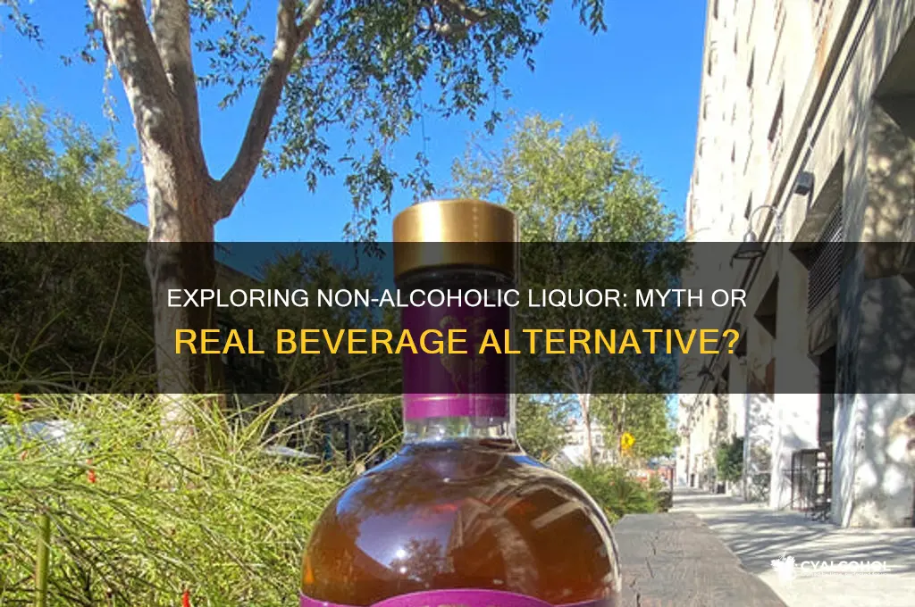 is there such thing as non alcoholic liquor