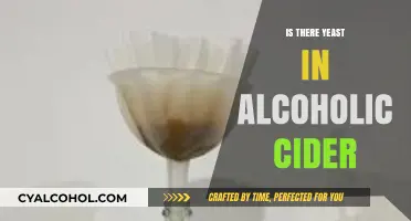 Yeast in Alcoholic Cider: Unveiling the Fermentation Process and Ingredients