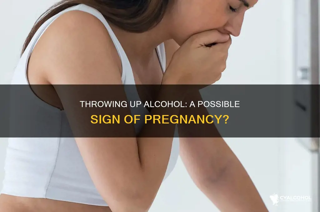 is throwing up alcohol a sign of pregnancy