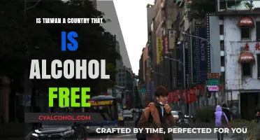 Exploring Taiwan's Alcohol Culture: Is It Truly Alcohol-Free?
