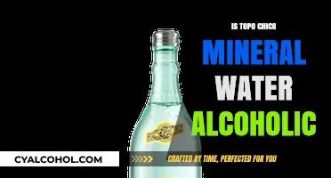 Is Topo Chico Mineral Water Alcoholic? Debunking the Myth
