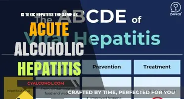 Understanding Hepatitis: Alcoholic vs. Toxic Hepatitis