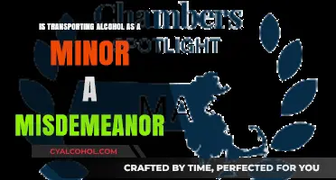 Transporting Alcohol as a Minor: Misdemeanor or Legal Gray Area?