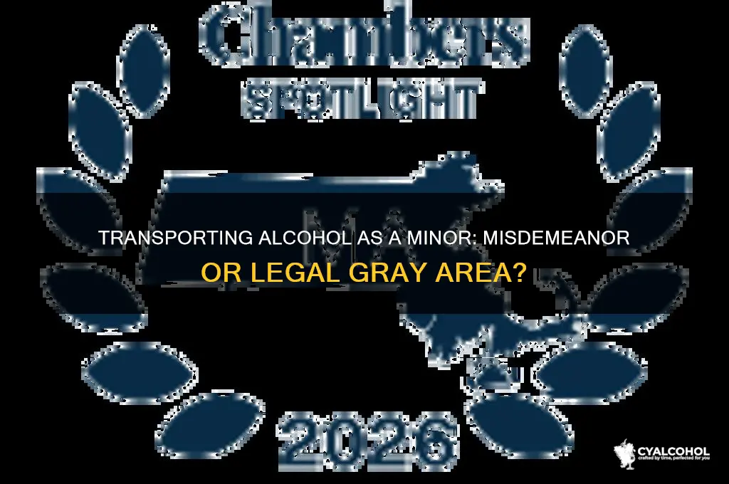 is transporting alcohol as a minor a misdemeanor