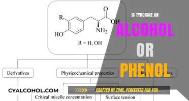 Tyrosine Unveiled: Understanding Its Classification as Alcohol or Phenol