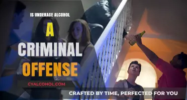 Underage Alcohol Consumption: Understanding Legal Consequences and Criminal Offense