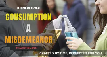 Underage Drinking: Misdemeanor or Serious Legal Consequence?