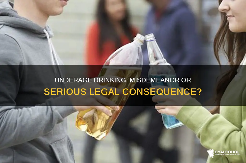 is underage alcohol consumption a misdemeanor
