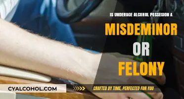Underage Alcohol Possession: Misdemeanor or Felony? Legal Insights