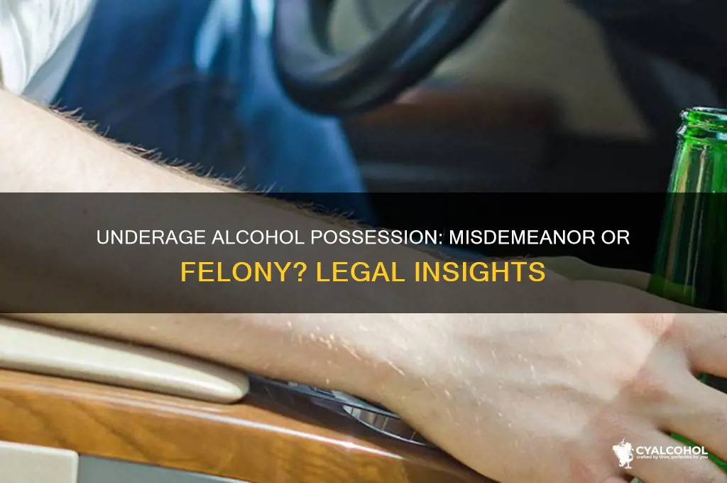 is underage alcohol possesion a misdeminor or felony
