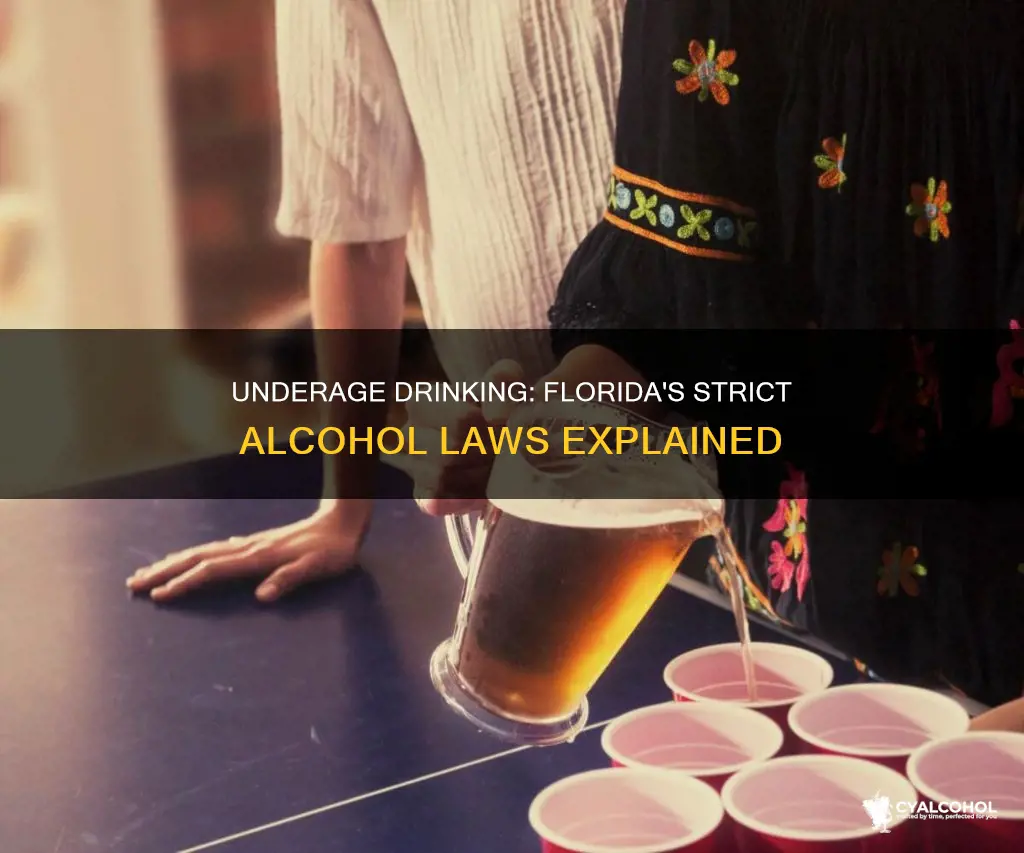 is underage consumption of alcohol a crime in florida