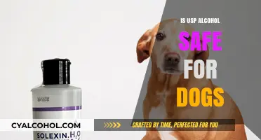 Is USP Alcohol Safe for Dogs? A Comprehensive Guide