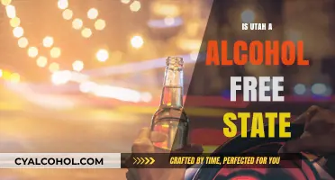 Utah's Alcohol Laws: Is It Truly an Alcohol-Free State?