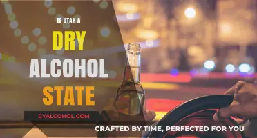Utah's Alcohol Laws: Is It Still a Dry State in 2023?