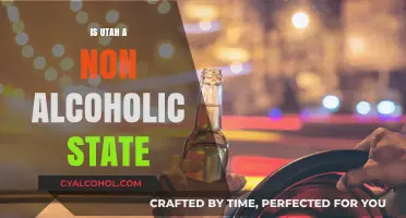 Utah's Alcohol Laws: Debunking the Myth of a Non-Alcoholic State
