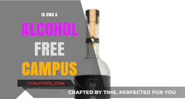 Is UWA Alcohol-Free? Exploring Campus Policies and Student Culture