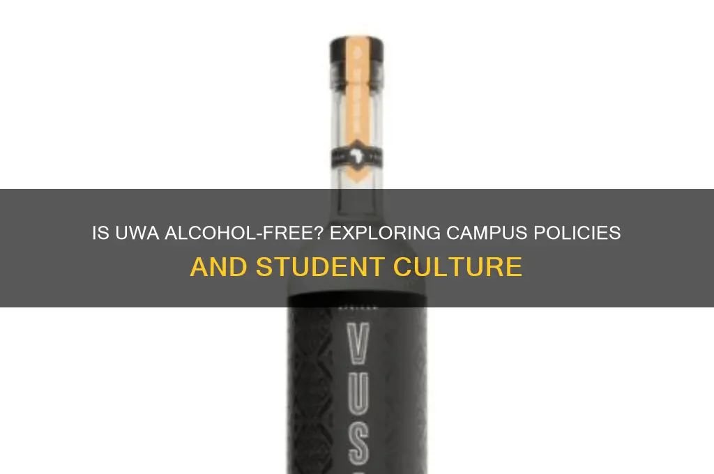 is uwa a alcohol free campus