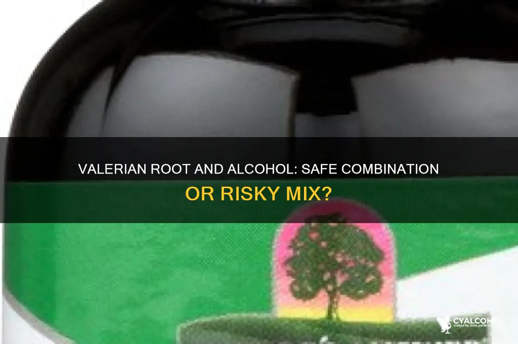 is valerian root safe with alcohol