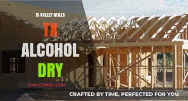 Is Valley Mills, TX Alcohol-Free? Exploring the Dry Status