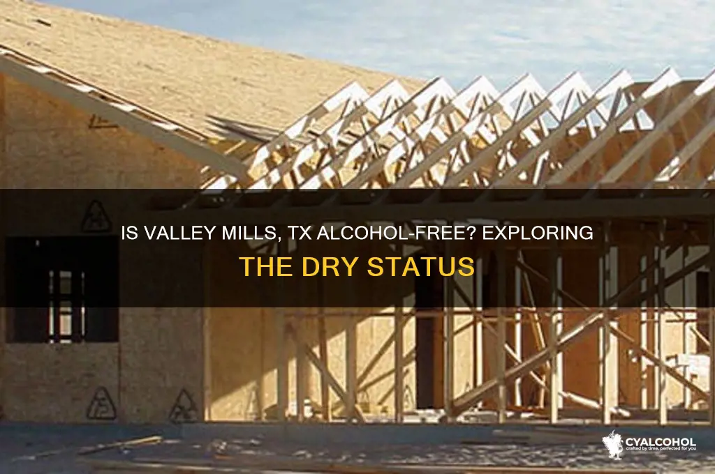 is valley mills tx alcohol dry