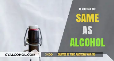 Vinegar vs. Alcohol: Understanding the Key Differences and Uses