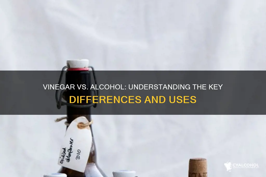 is vinegar the same as alcohol