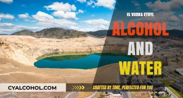 Is Vodka Just Ethyl Alcohol and Water? Unveiling the Truth