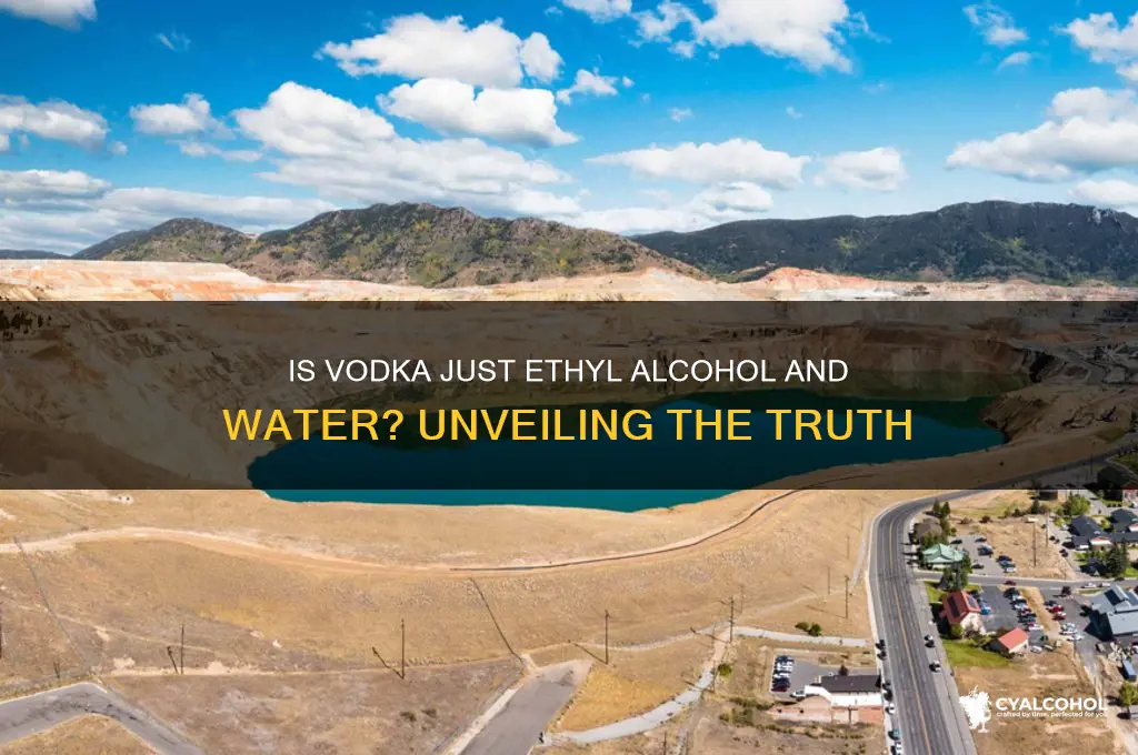 is vodka ethyl alcohol and water