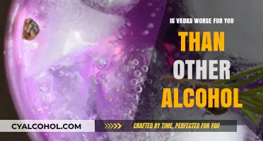 Vodka vs. Other Alcohol: Which Is Worse for Your Health?