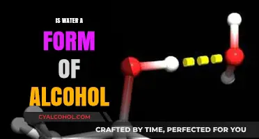Is Water a Form of Alcohol? Debunking the Myth