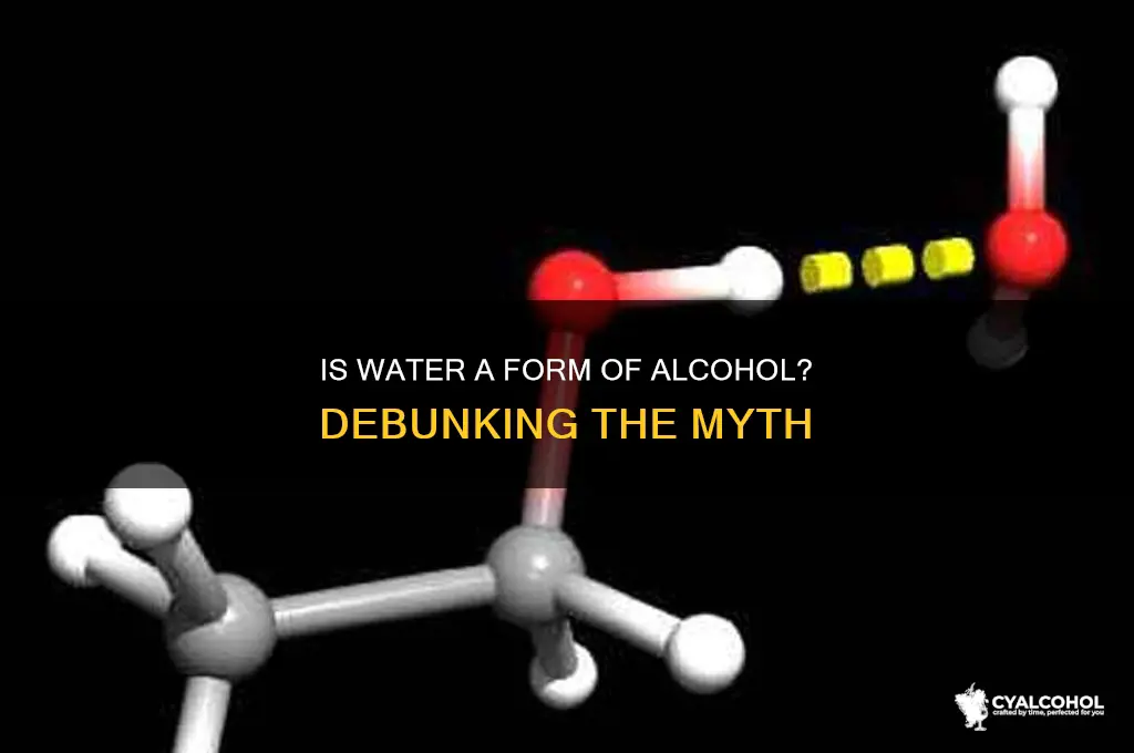 is water a form of alcohol