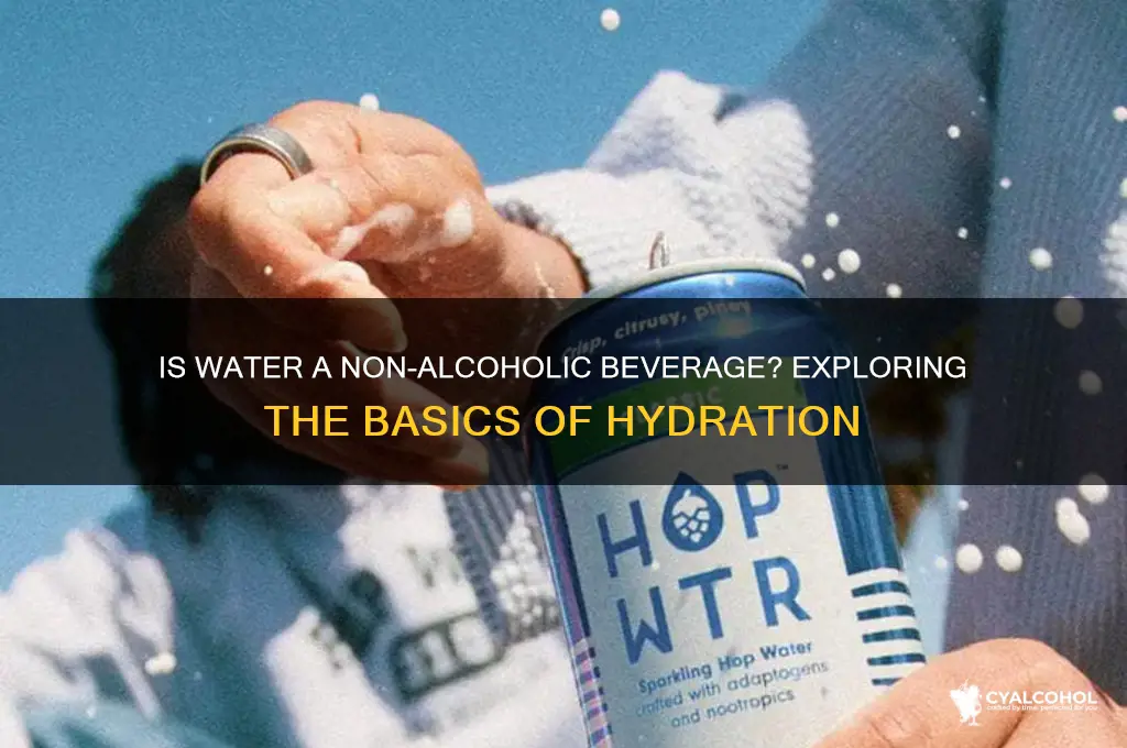 is water a non alcoholic beverage