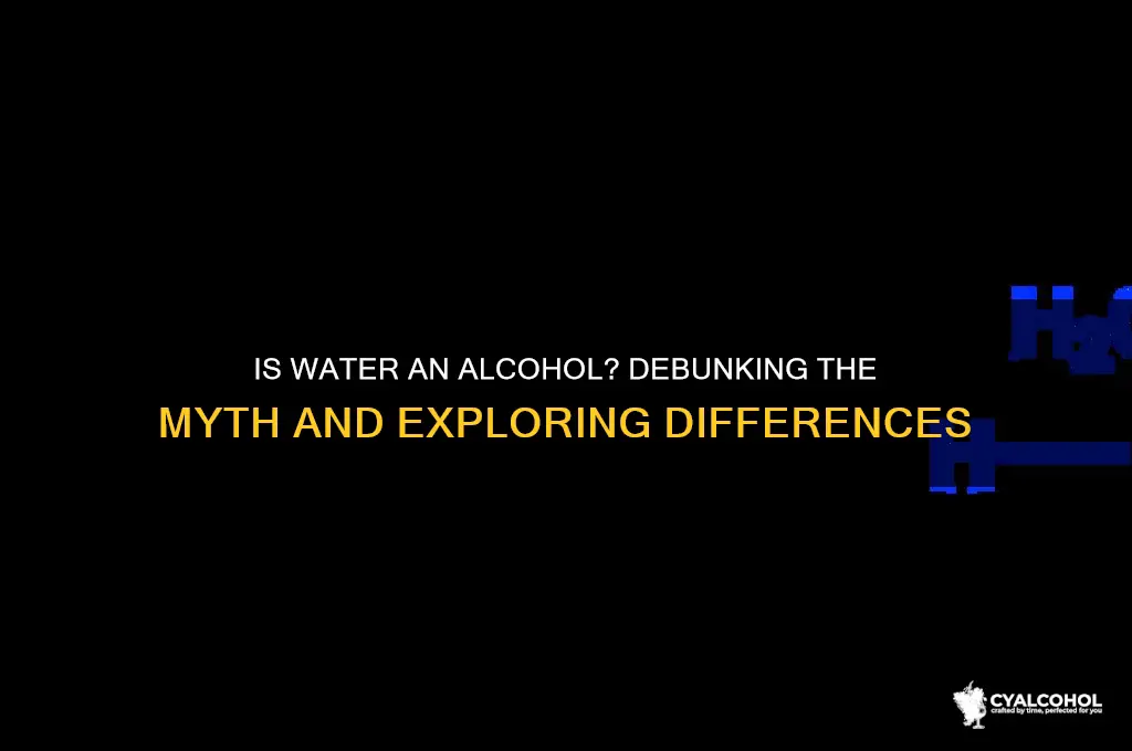 is water an alcohol
