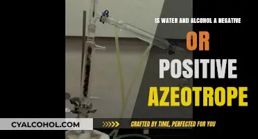 Water-Alcohol Mix: Positive or Negative Azeotrope?