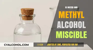 Water and Methyl Alcohol: Understanding Their Miscibility in Chemistry