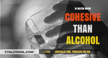 Water vs. Alcohol: Unraveling the Mystery of Cohesive Forces