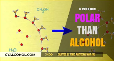 Water vs. Alcohol: Unraveling the Polar Nature Debate