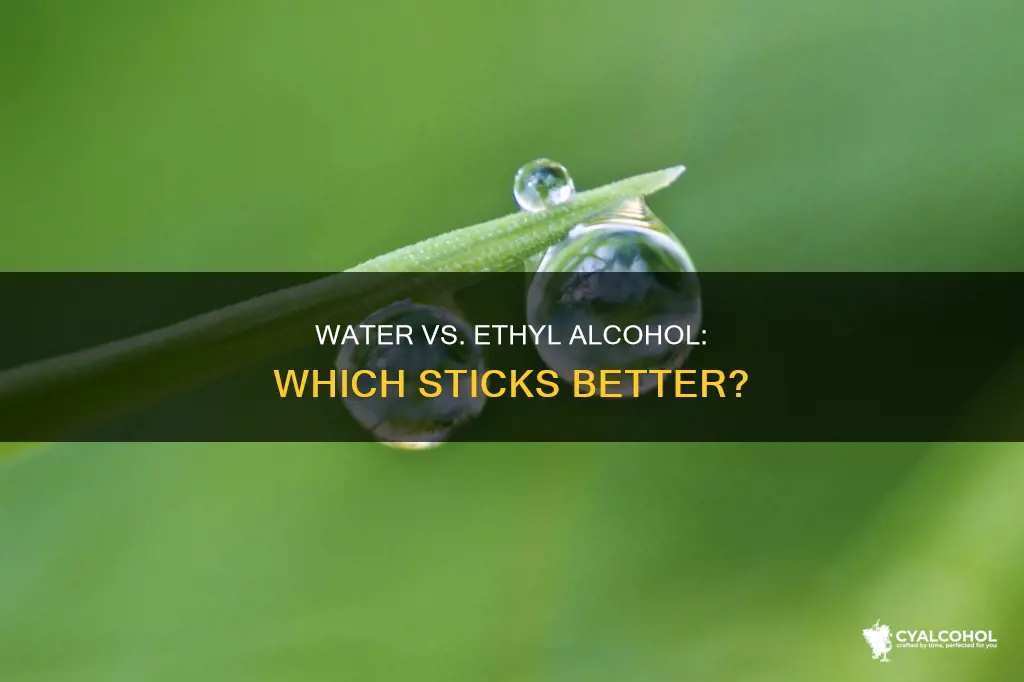 is water or ethyl alcohol more attracted to surfaces