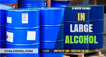 Exploring Water Solubility in Large Alcohols: Chemistry and Applications