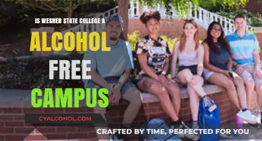 Is Western State College Alcohol-Free? Campus Policies Explained
