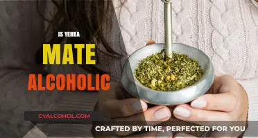 Is Yerba Mate Alcoholic? Debunking Myths About This Popular Drink