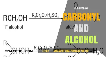 ß-Hydroxy Carbonyl vs. Alcohol: Understanding the Key Differences