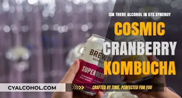 GTS Synergy Cosmic Cranberry Kombucha: Alcohol-Free?