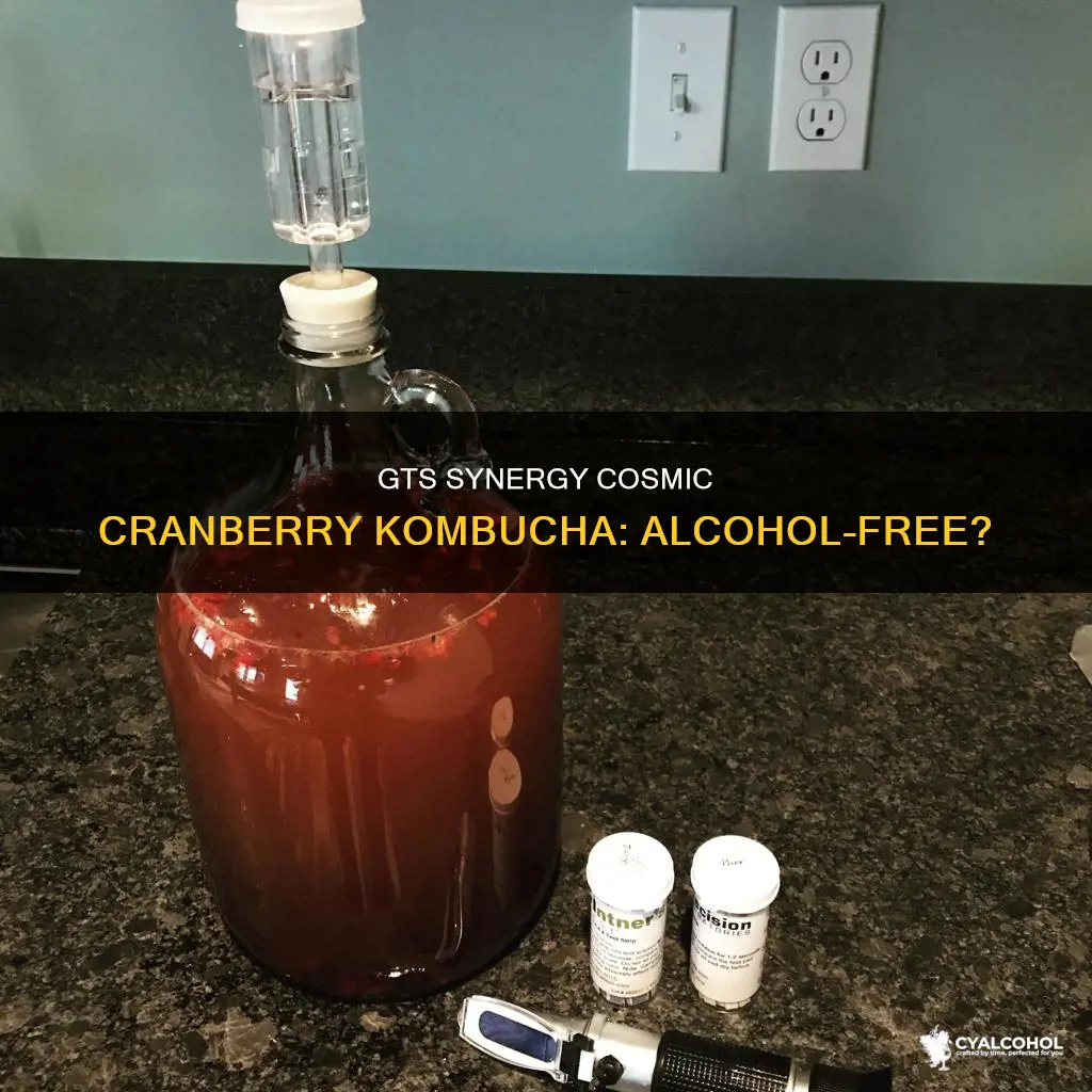 isn there alcohol in gts synergy cosmic cranberry kombucha