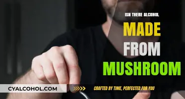 Exploring Mushroom-Based Alcohol: A Unique Fermentation Adventure