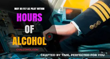 Pilots: No Flying After Drinking Alcohol