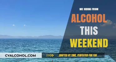 Sobriety Sanctuary: My Weekend Escape from Alcohol's Allure